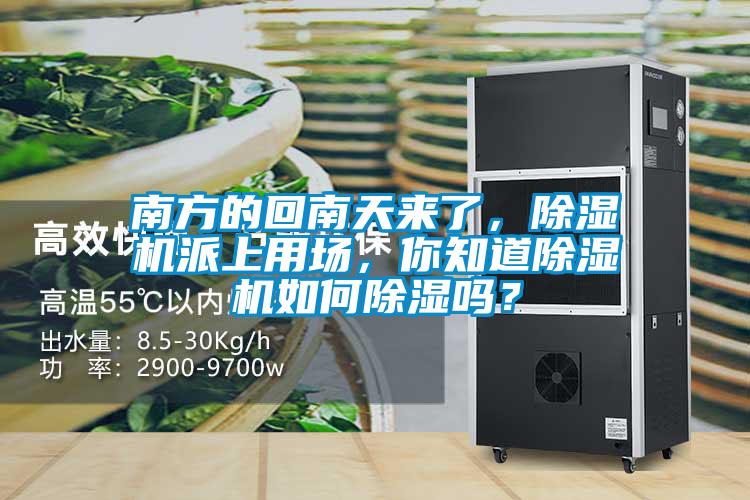 南方的回南天來了，除濕機(jī)派上用場，你知道除濕機(jī)如何除濕嗎？