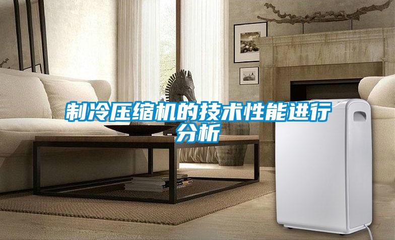 制冷壓縮機的技術性能進行分析