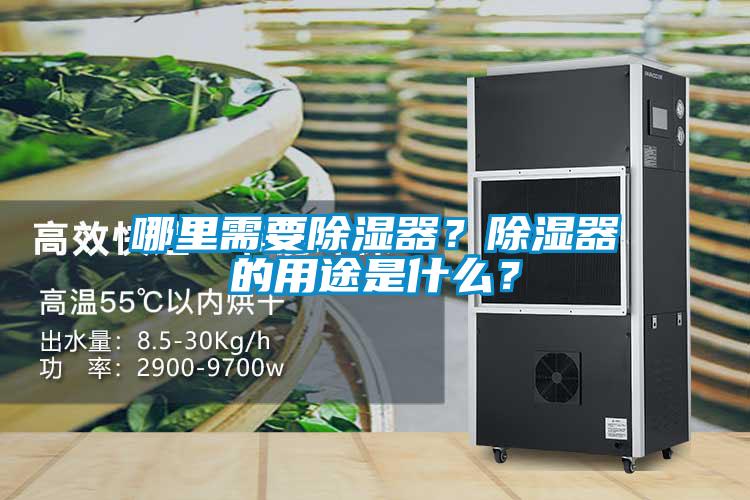 哪里需要除濕器？除濕器的用途是什么？