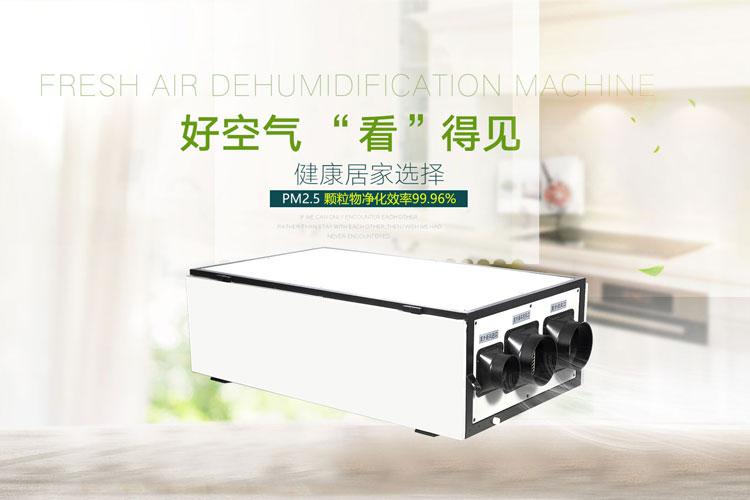 臺風帶來的強降雨該如何除濕？