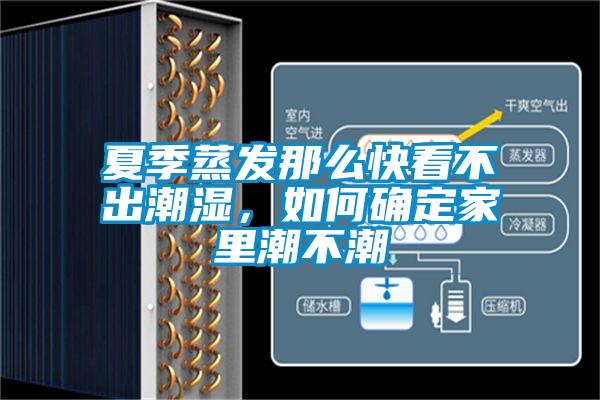 夏季蒸發(fā)那么快看不出潮濕，如何確定家里潮不潮