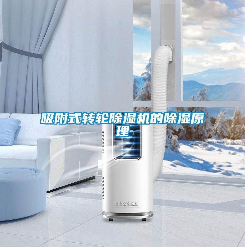 吸附式轉輪除濕機的除濕原理