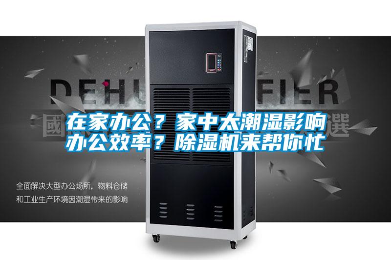在家辦公？家中太潮濕影響辦公效率？除濕機來幫你忙