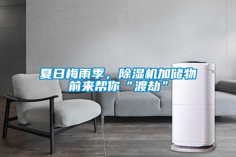 夏日梅雨季，除濕機(jī)加儲物前來幫你“渡劫”