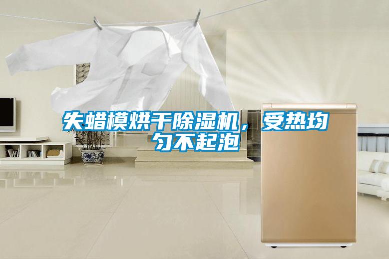 失蠟模烘干除濕機，受熱均勻不起泡
