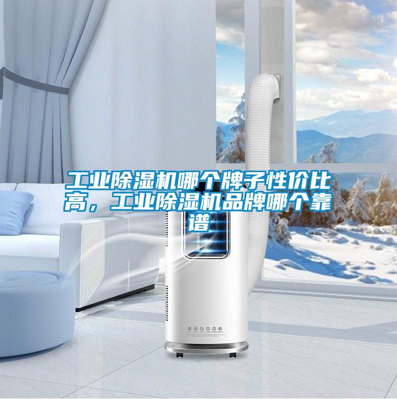 工業除濕機哪個牌子性價比高，工業除濕機品牌哪個靠譜