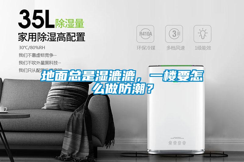 地面總是濕漉漉，一樓要怎么做防潮？