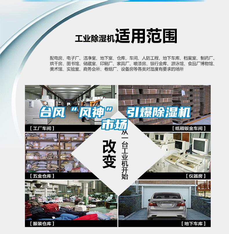 臺風(fēng)“風(fēng)神” 引爆除濕機市場