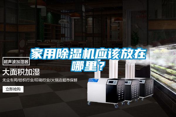 家用除濕機應(yīng)該放在哪里？