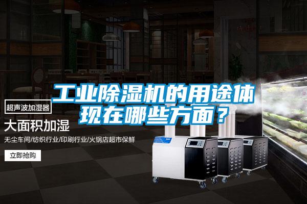 工業除濕機的用途體現在哪些方面？