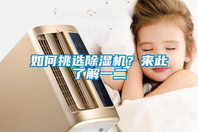 如何挑選除濕機？來此了解一二