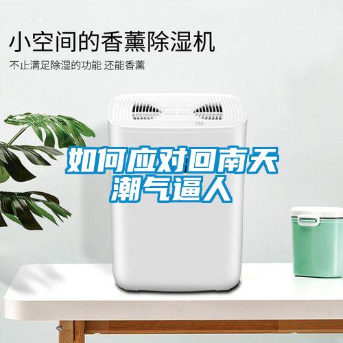 如何應對回南天潮氣逼人
