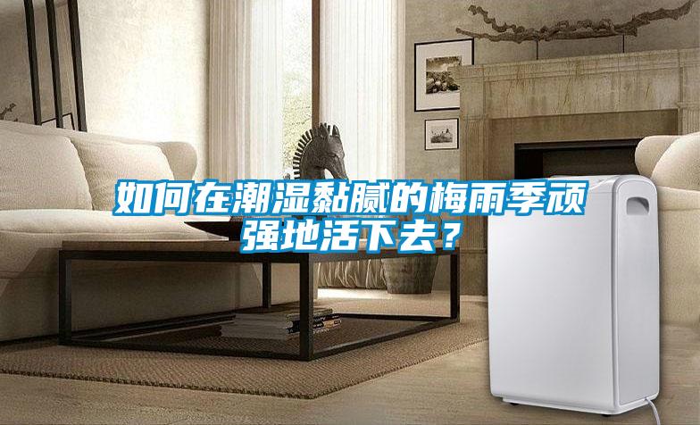 如何在潮濕黏膩的梅雨季頑強(qiáng)地活下去？