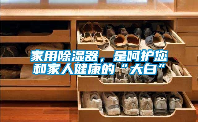 家用除濕器，是呵護您和家人健康的“大白”