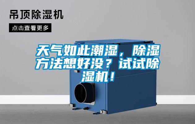 天氣如此潮濕，除濕方法想好沒(méi)？試試除濕機(jī)！