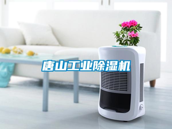 唐山工業除濕機