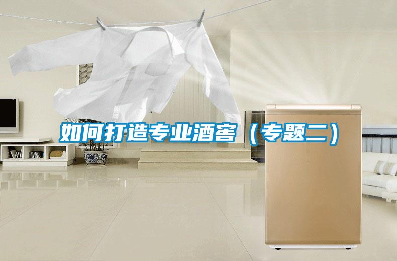 如何打造專業酒窖（專題二）