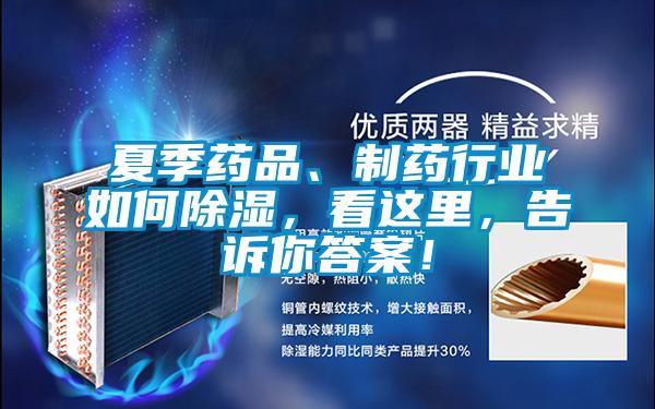 夏季藥品、制藥行業如何除濕，看這里，告訴你答案！