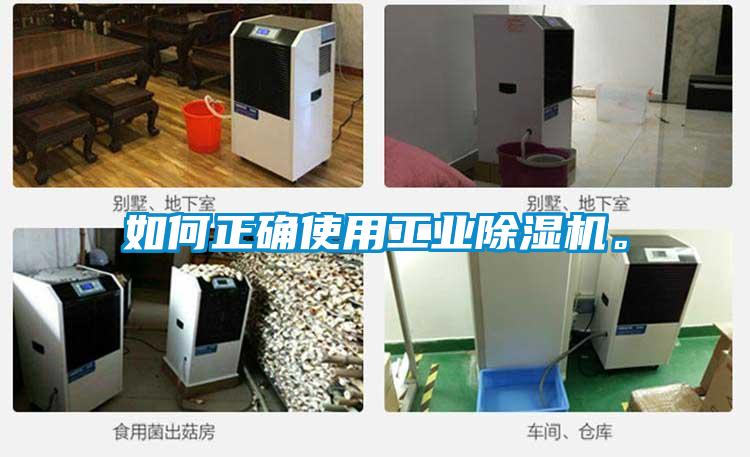 如何正確使用工業除濕機。