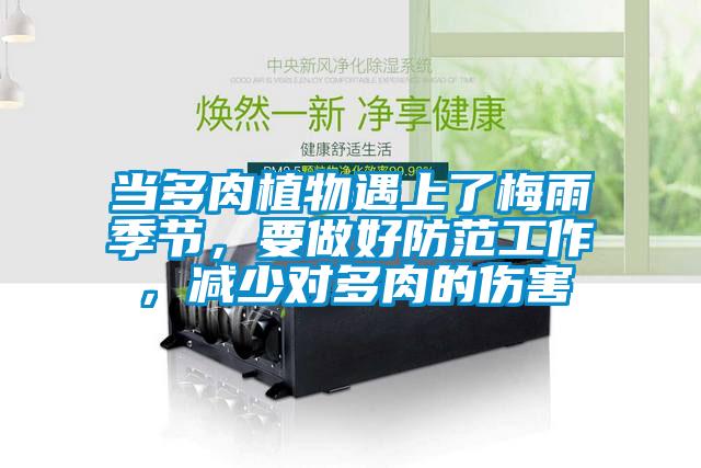 當(dāng)多肉植物遇上了梅雨季節(jié)，要做好防范工作，減少對多肉的傷害