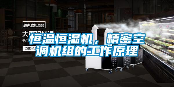 恒溫恒濕機，精密空調(diào)機組的工作原理