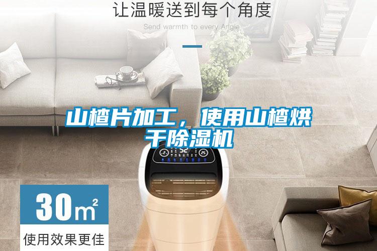山楂片加工，使用山楂烘干除濕機