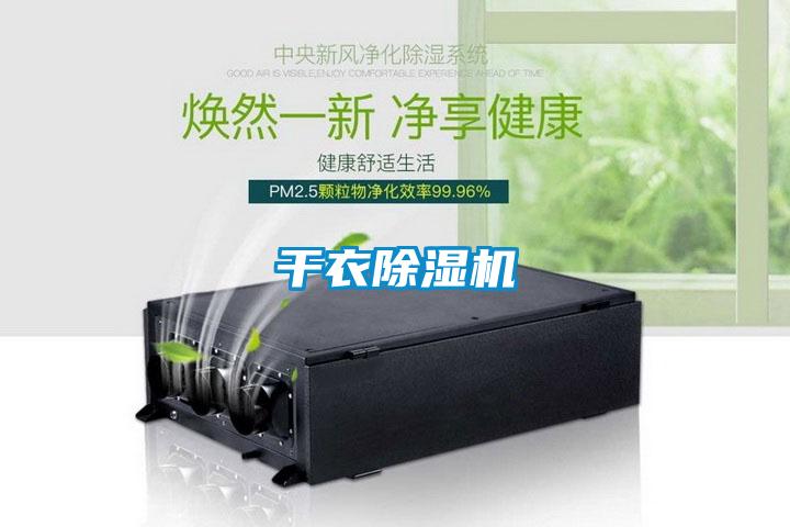 干衣除濕機(jī)