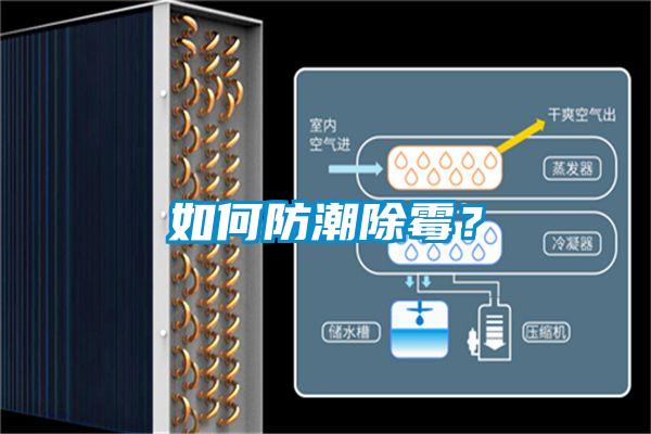 如何防潮除霉？