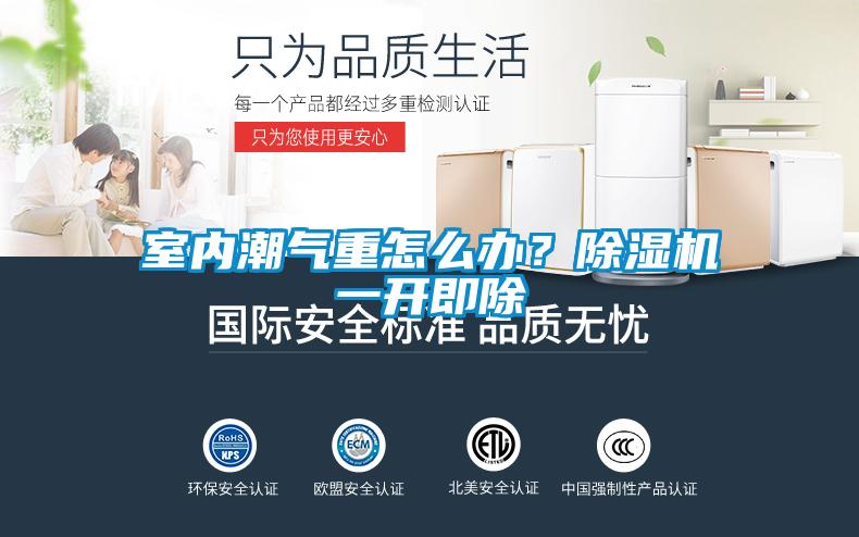 室內(nèi)潮氣重怎么辦？除濕機(jī)一開(kāi)即除