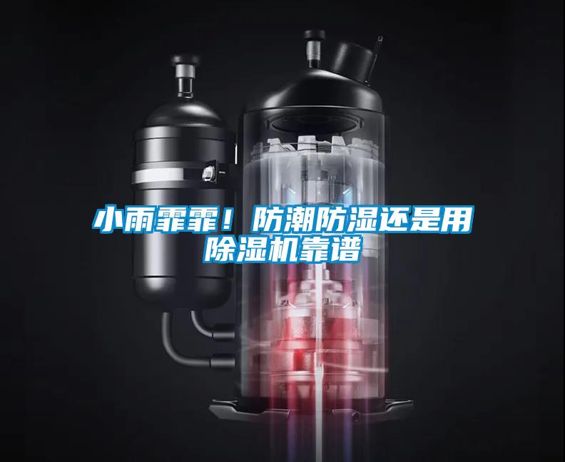 小雨霏霏！防潮防濕還是用除濕機靠譜