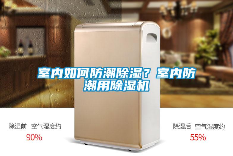 室內如何防潮除濕？室內防潮用除濕機