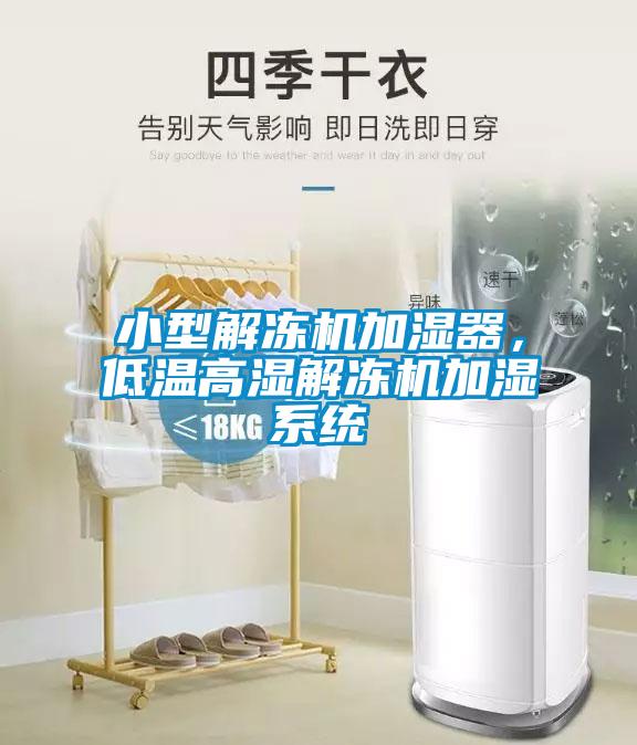 小型解凍機加濕器，低溫高濕解凍機加濕系統(tǒng)