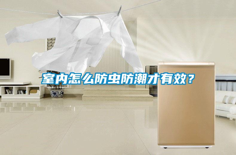 室內怎么防蟲防潮才有效？