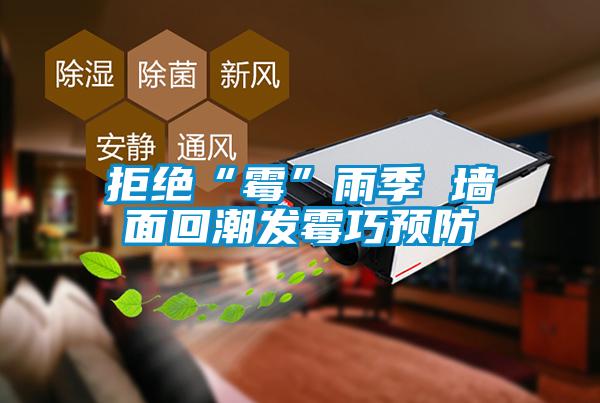 拒絕“霉”雨季 墻面回潮發霉巧預防
