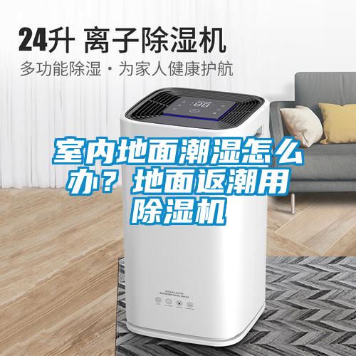室內地面潮濕怎么辦？地面返潮用除濕機