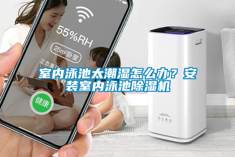 室內泳池太潮濕怎么辦？安裝室內泳池除濕機