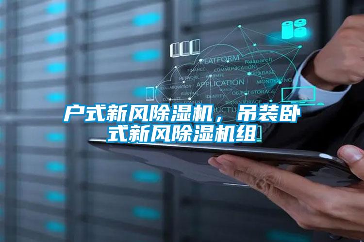 戶式新風(fēng)除濕機(jī)，吊裝臥式新風(fēng)除濕機(jī)組