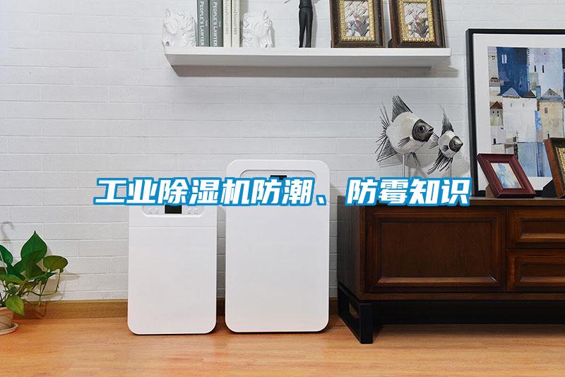 工業除濕機防潮、防霉知識