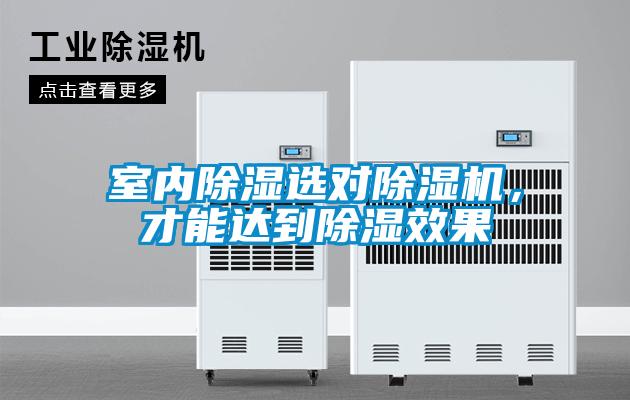 室內(nèi)除濕選對(duì)除濕機(jī)，才能達(dá)到除濕效果