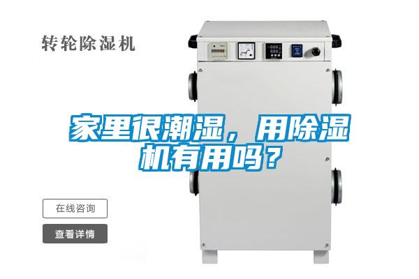 家里很潮濕，用除濕機(jī)有用嗎？
