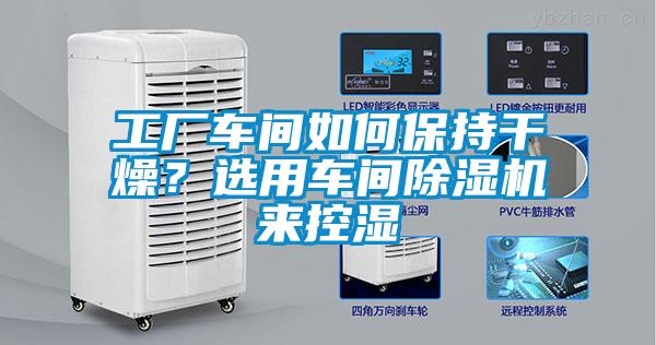 工廠車間如何保持干燥？選用車間除濕機來控濕