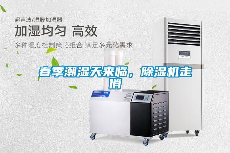 春季潮濕天來(lái)臨，除濕機(jī)走俏