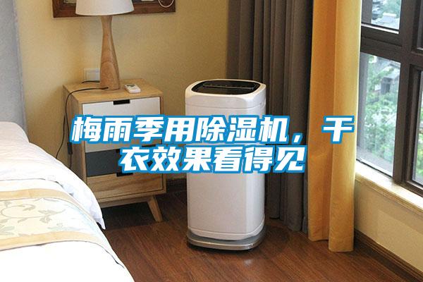 梅雨季用除濕機，干衣效果看得見
