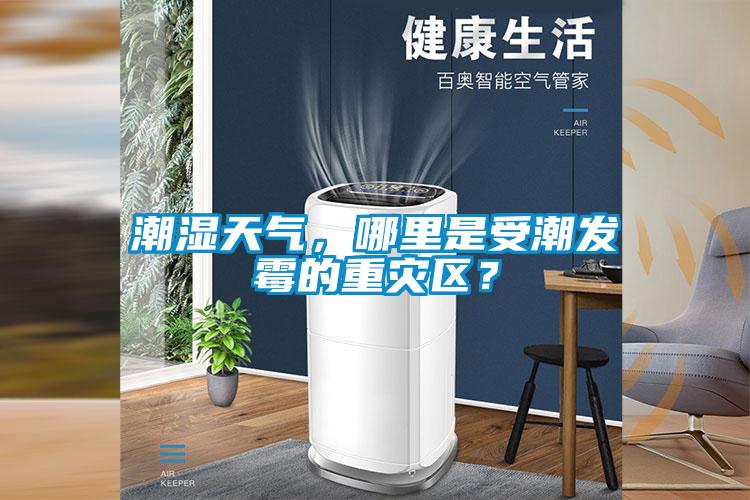 潮濕天氣，哪里是受潮發霉的重災區？