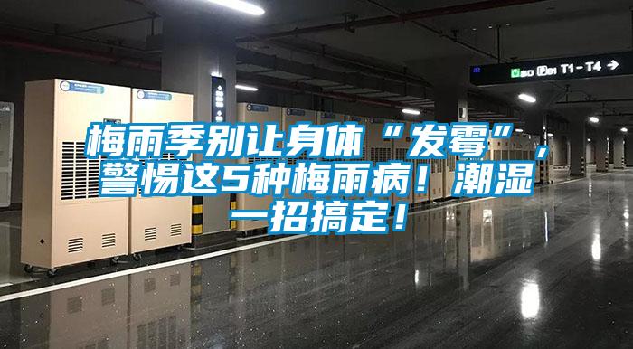 梅雨季別讓身體“發(fā)霉”，警惕這5種梅雨病！潮濕一招搞定！