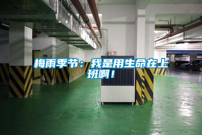 梅雨季節：我是用生命在上班??！