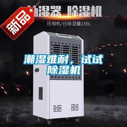 潮濕難耐，試試除濕機