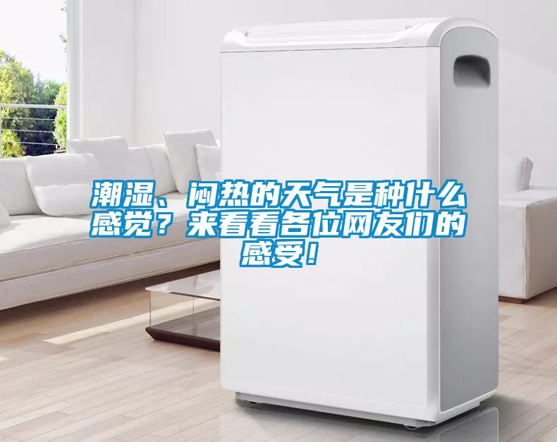 潮濕、悶熱的天氣是種什么感覺？來看看各位網(wǎng)友們的感受！