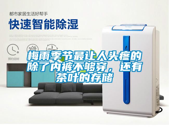 梅雨季節(jié)最讓人頭疼的除了內(nèi)褲不夠穿，還有茶葉的存儲(chǔ)