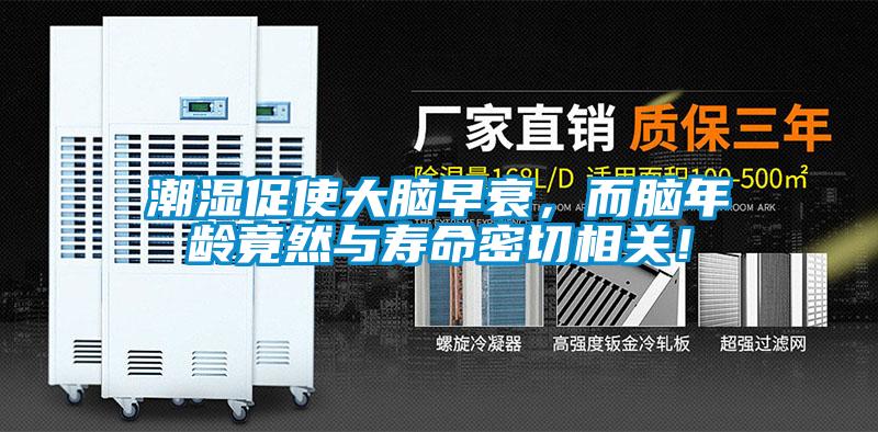 潮濕促使大腦早衰，而腦年齡竟然與壽命密切相關！